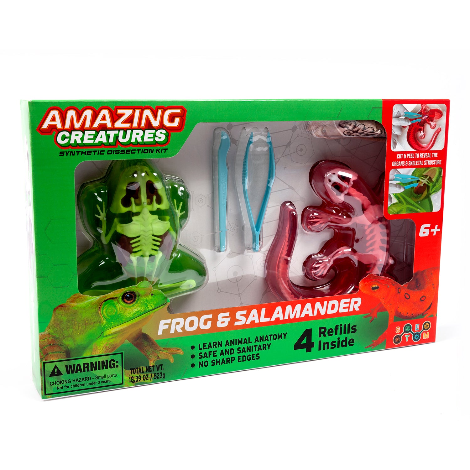 Kit de disección sintética de ranas y salamandras de Amazing Creatures - STEM