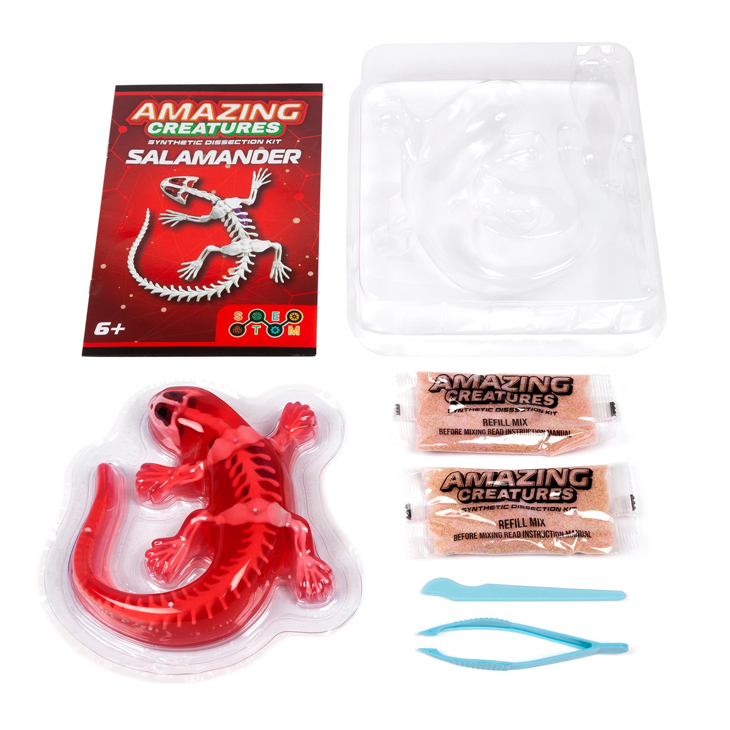 Kit de disección sintética de salamandras de Amazing Creatures - STEM