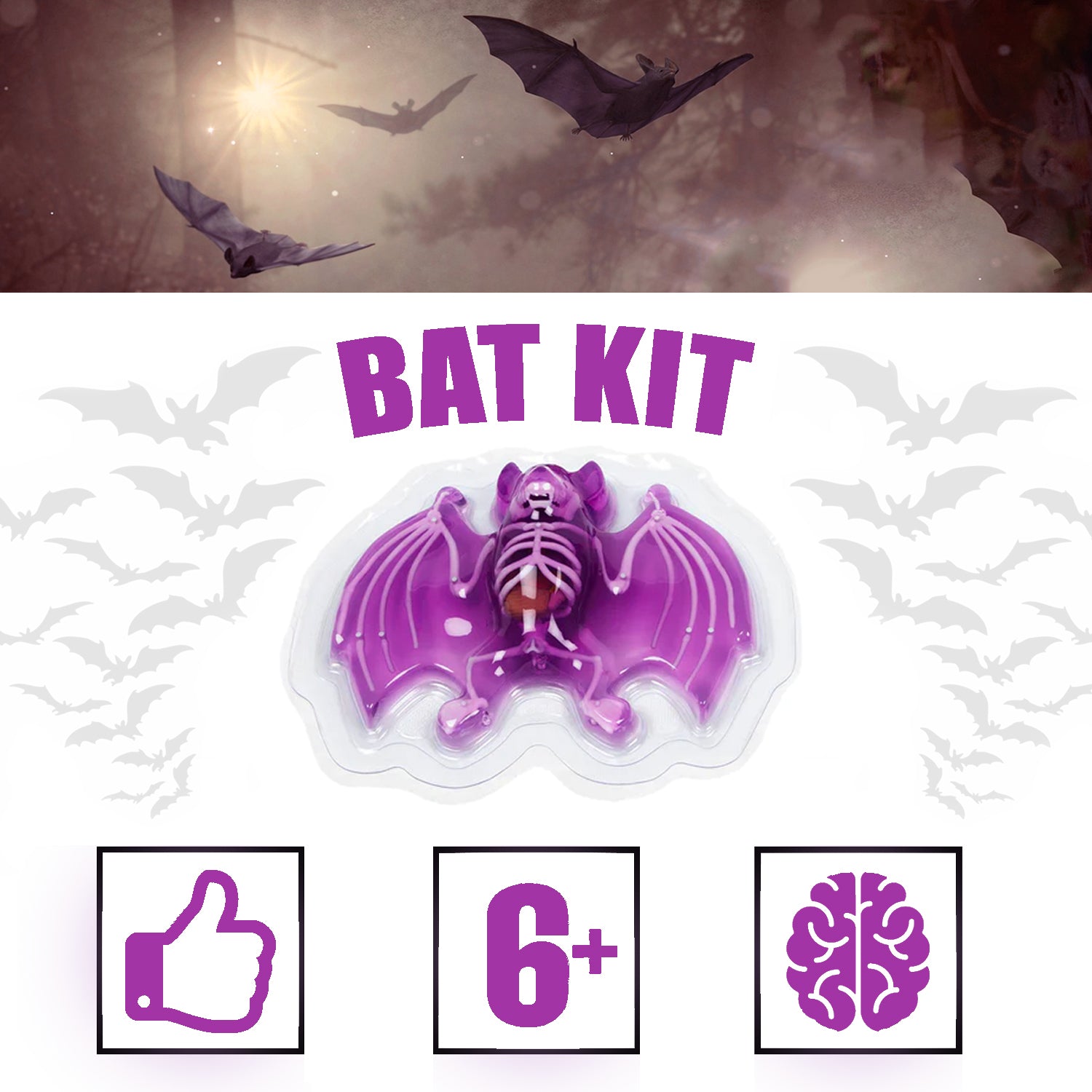 Kit de disección sintética de murciélagos de Amazing Creatures - STEM