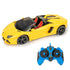 Lamborghini Aventador Roadster 1:14 RTR Electric RC Car