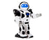 BO Cool Bot Electric Robot