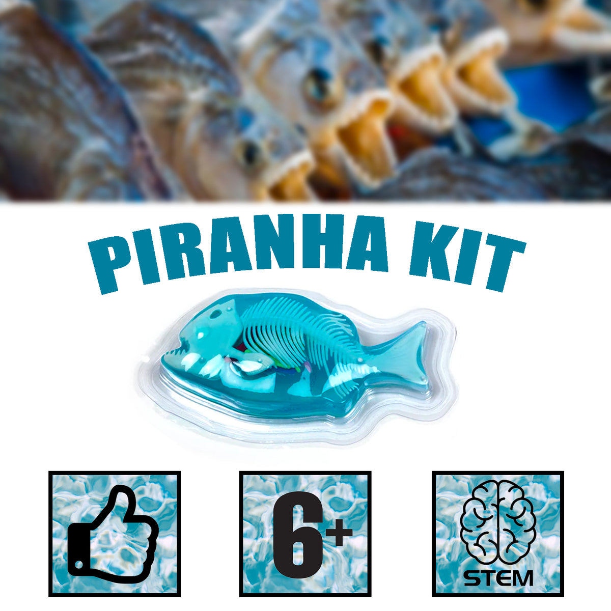 Kit de disección sintética de piraña de Amazing Creatures - STEM